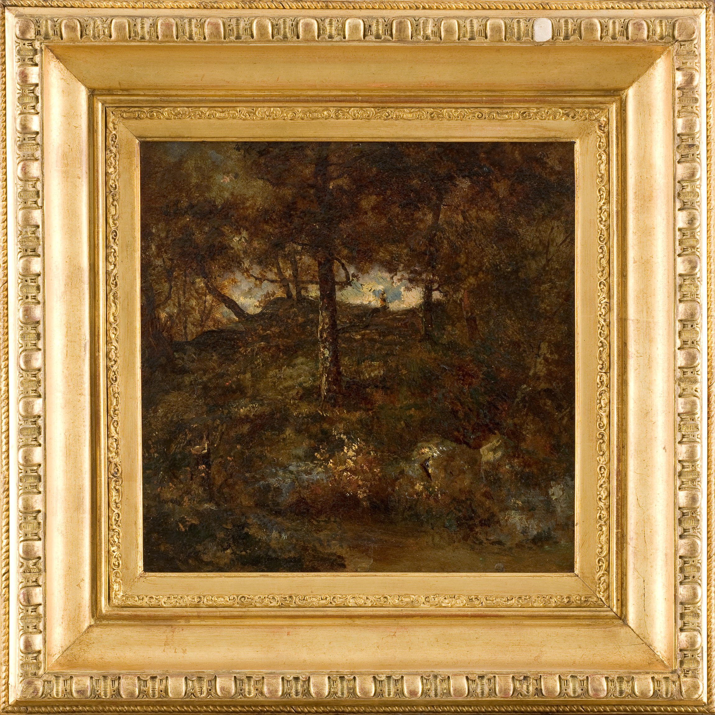Sous-bois