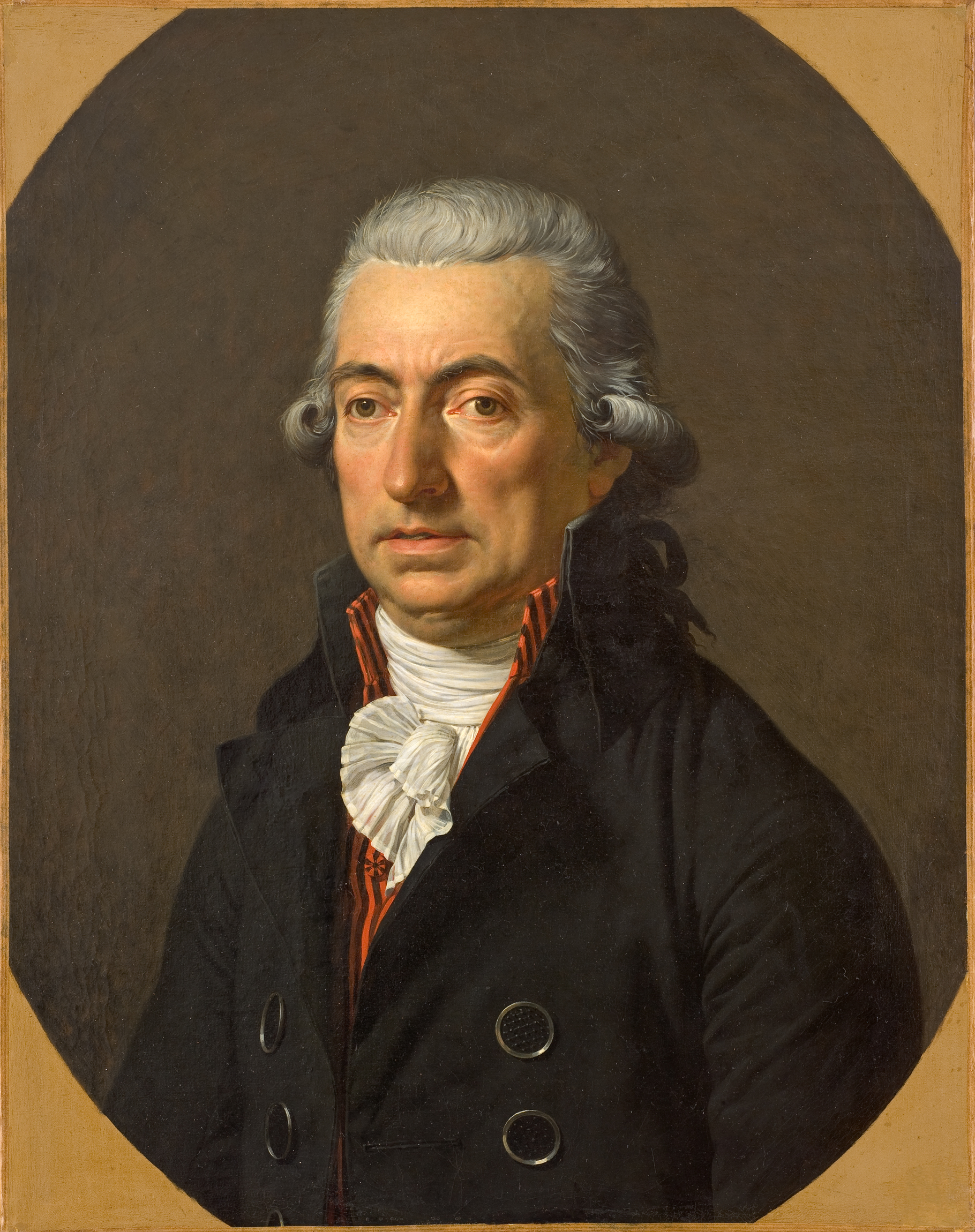 Portrait de M. Joseph Fabre