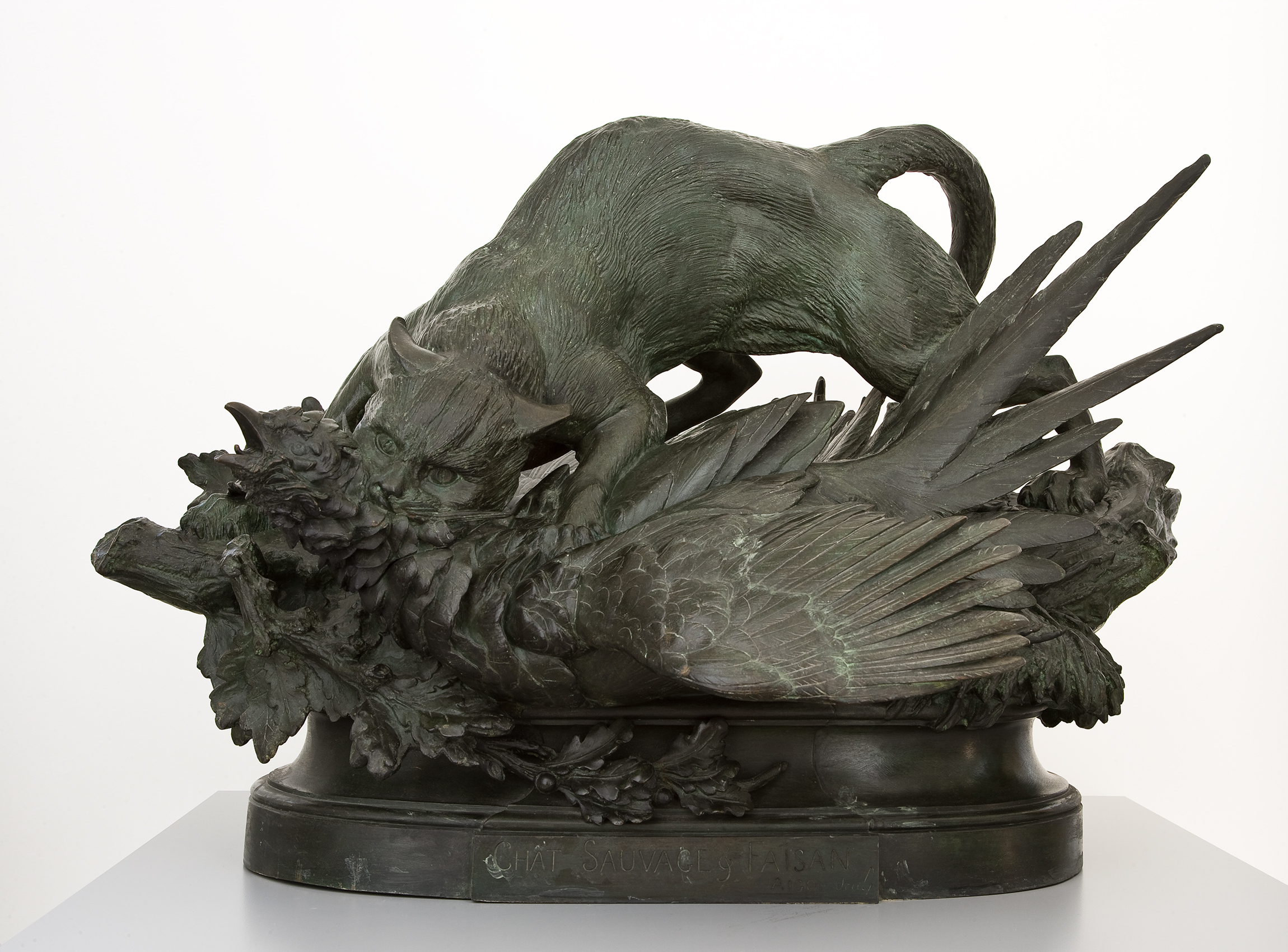 Chat sauvage et faisan