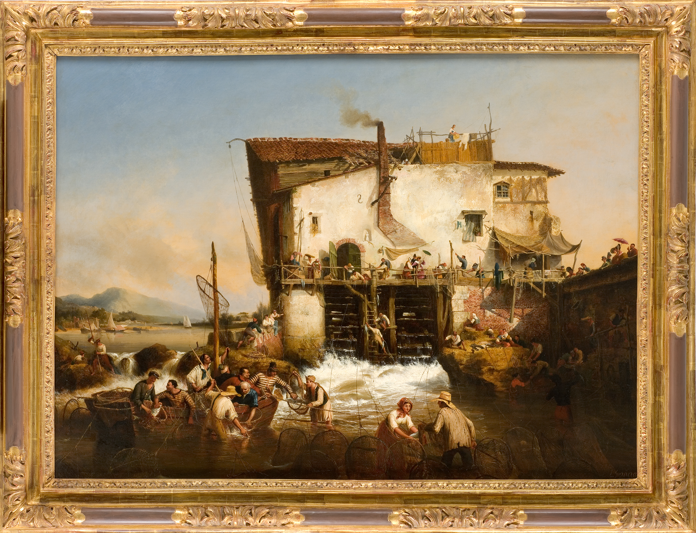 La Pêche aux aloses
